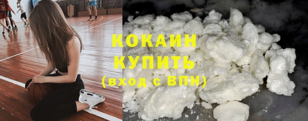 индика Баксан