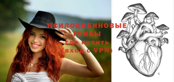 индика Балабаново