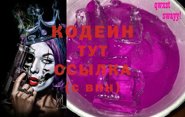 индика Балабаново