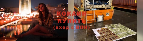 индика Баксан