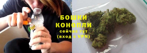 индика Балабаново