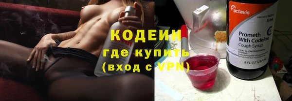 индика Баксан
