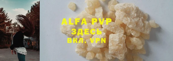 индика Балабаново