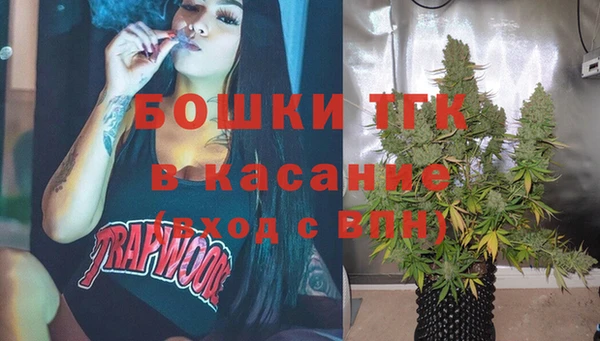 индика Балабаново