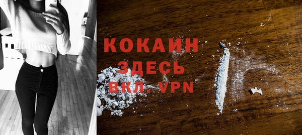 индика Баксан