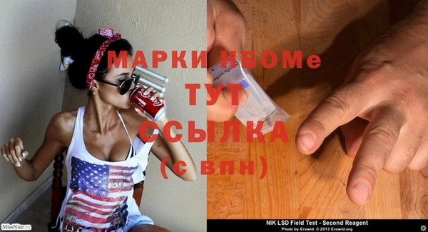 индика Баксан