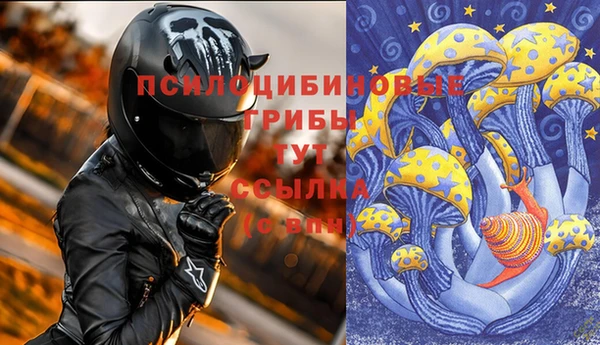 индика Балабаново