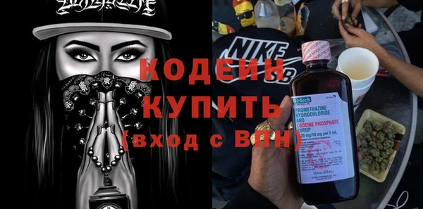 индика Балабаново
